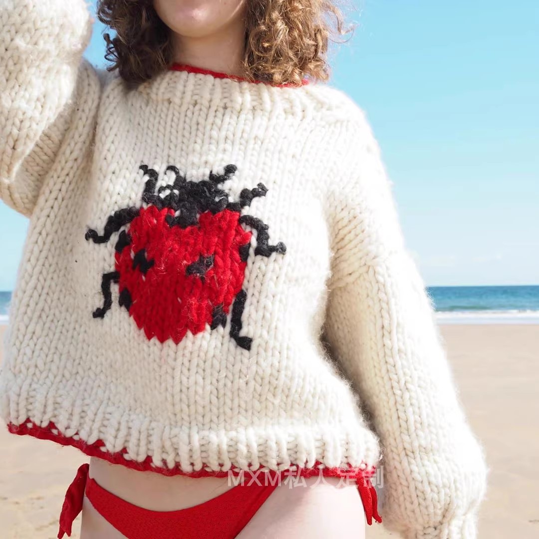 Suéter de lana pura con diseño - Embroidery Lady Bug reseña y precio